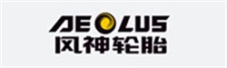 風(fēng)神輪胎股份有限公司